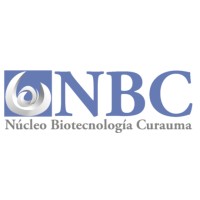 https://nbcpucv.cl/