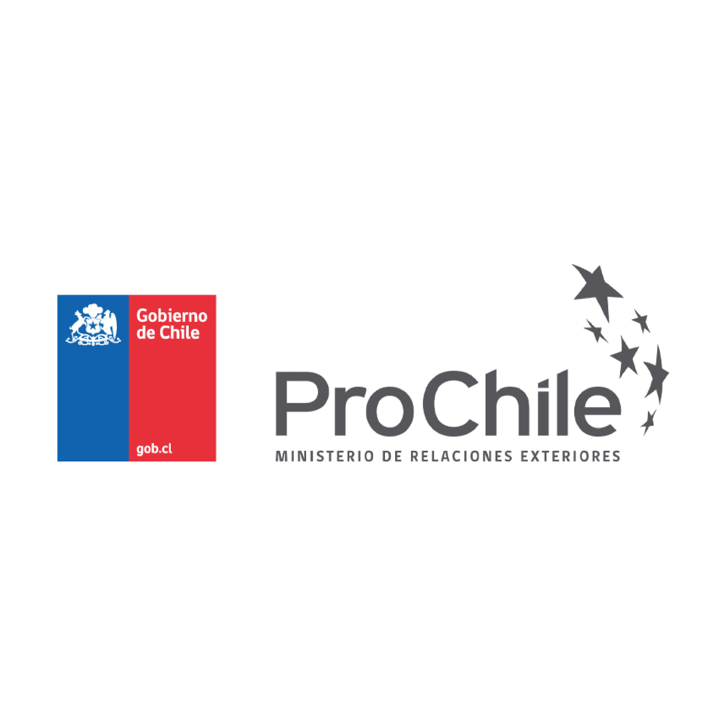 https://www.prochile.gob.cl/