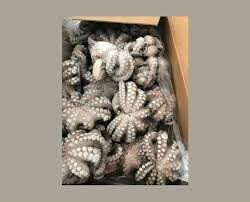 Desangrado de pulpos vivos